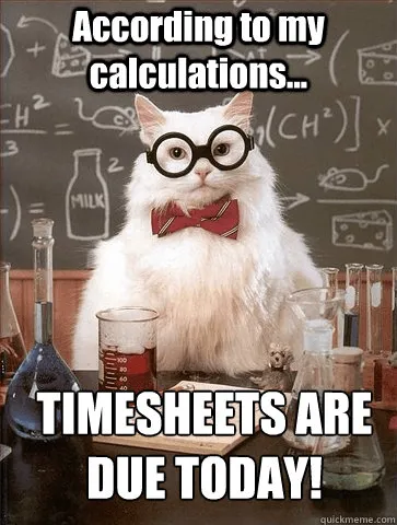 Timesheet reminder meme emphasizing that the timesheet won't fill itself.