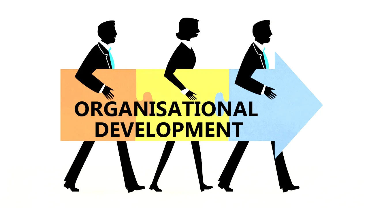 Organizational Development